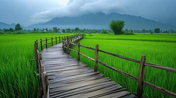 ai generiert das alt Kurve hölzern Brücke im Grün Reis Feld. foto