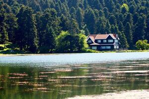 Haus auf das Ufer von See. reflektiert auf Wasser. Land Seite, Wald, Bauernhof Feld, See mit Haus. Bolu, Türkei foto