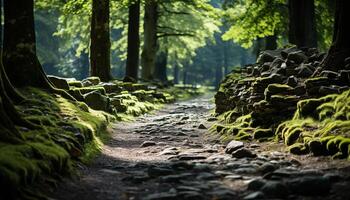 ai generiert still Szene von Grün Wald, Wandern auf Fußweg generiert durch ai foto