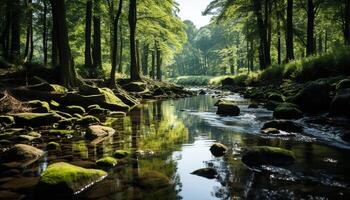 ai generiert still Szene von fließend Wasser im ein Wald generiert durch ai foto
