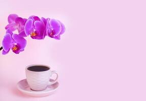 Rosa Orchidee und Tasse von Kaffee auf das Rosa Hintergrund. Frühstück auf Mutter Tag oder Damen Tag. Nahansicht. Kopieren Raum. foto
