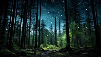 ai generiert mysteriös Nacht, dunkel Wald, beleuchtet durch Mondlicht generiert durch ai foto