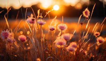 ai generiert Sonnenuntergang Wiese, Wildblume blühen im Natur Schönheit generiert durch ai foto