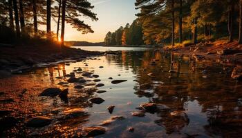 ai generiert still Szene von ein Sonnenuntergang Über ein Wald generiert durch ai foto