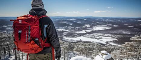 ai generiert Wanderer mit Blick auf schneebedeckt Berg Angebot foto