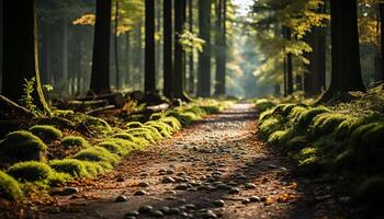 ai generiert still Herbst Wald, Grün Blätter, Sonnenlicht, friedlich generiert durch ai foto
