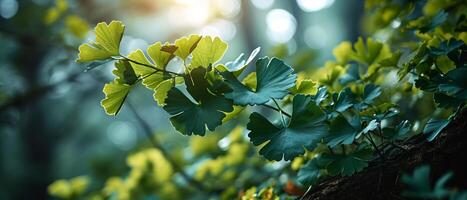 ai generiert taubeladen Ginkgo biloba Blätter glitzernd im das sanft Sonnenlicht foto