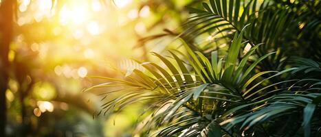 ai generiert Sonnenstrahlen Filter durch beschwingt Grün Palme Blätter foto
