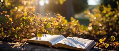 ai generiert öffnen Buch im golden Stunde Licht foto