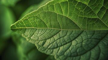 ai generiert Grün Hortensie Blatt Bereitstellung ein üppig Hintergrund foto