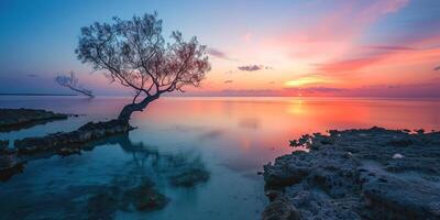 ai generiert ein Silhouette von ein Baum auf ein Insel Strand Sonnenuntergang Landschaft. golden Stunde Abend Himmel im das Horizont. Achtsamkeit, Meditation, Ruhe, Gelassenheit, Entspannung Konzept Hintergrund foto