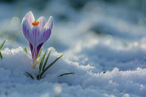 ai generiert Krokus im das Schnee foto