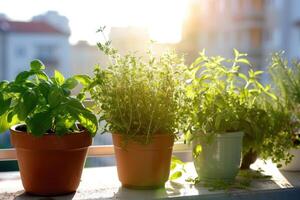 ai generiert frisch Kräuter wachsen im Behälter auf Stadt Balkon im Sonnenlicht foto