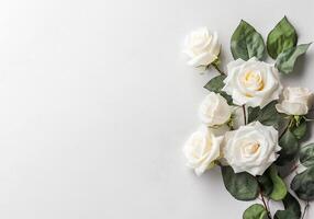 ai generiert Weiß Rosen auf ein Weiß Hintergrund foto