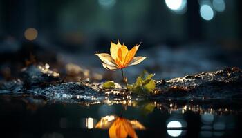 ai generiert beschwingt Herbst Blätter reflektieren im still Teich generiert durch ai foto