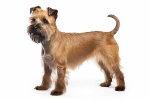 ai generiert Terrier Hund Clip Art foto