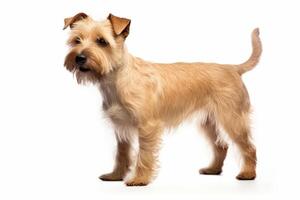 ai generiert Terrier Hund Clip Art foto