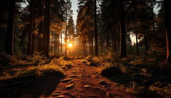 ai generiert ein still Herbst Wald, beschwingt mit bunt Blätter und Sonnenlicht generiert durch ai foto