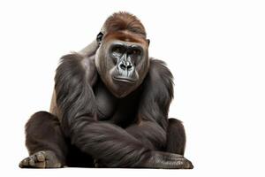 ai generiert Flachland Gorilla Clip Art foto