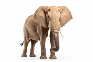 ai generiert afrikanisch Elefant Clip Art foto