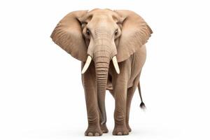 ai generiert afrikanisch Elefant Clip Art foto