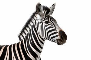 ai generiert Zebra isoliert auf Weiß Hintergrund foto