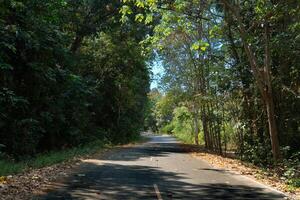 Asphalt Straße im das Wald mit Bäume und Blau Himmel Hintergrund. beim Tag Zeit im Rayong Thailand. foto