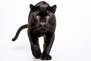 ai generiert schwarz Panther Clip Art foto