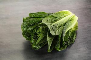 Grün frisch saftig Romano Salat foto