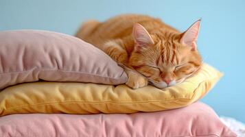 ai generiert Katze Schlafen friedlich auf Sanft Kissen foto