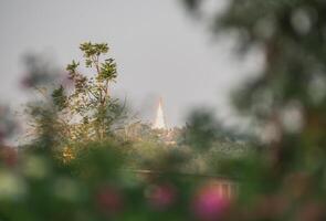 neblig Wald Morgen und Tempel beim Thailand foto