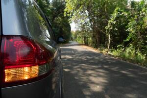 Schwanz Licht von grau Auto mit Wende auf Signal. Fahren auf das Asphalt Straße. Wald Das Abdeckungen das Umgebung Bereich. foto