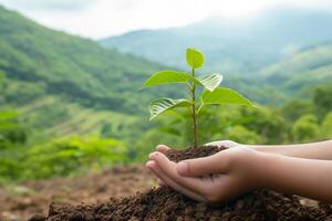 ai generiert ein Person halten ein jung Baum Setzling symbolisieren Umwelt Verwalterschaft foto