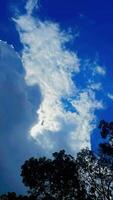 Blau Himmel enthüllt Naturen Schönheit foto