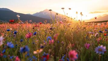 ai generiert Sonnenuntergang leuchtet ein bunt Wildblume Wiese mit Berge im das Hintergrund, Erstellen ein still natürlich Szene. foto