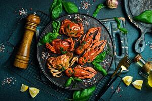 gekocht gezähnt Schlamm Krabbe und Flusskrebs auf schwarz Teller auf schwarz Hintergrund. Meeresfrüchte. Rezept. foto