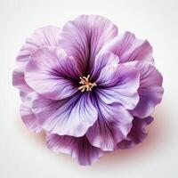 ai generiert lila Blume auf Weiß Hintergrund foto