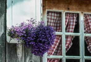 ein Fenster mit ein Blume Topf auf es foto