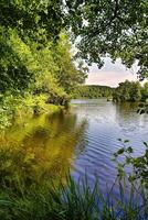 See amts umgeben durch Wald, Biosphäre Reservieren schorfheide-chorin, Brandenburg, Deutschland foto