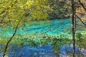 bunt See, jiuzhaigou National Park, Sichuan Provinz, China, UNESCO Welt Erbe Seite? ˅ foto