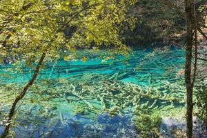 bunt See, jiuzhaigou National Park, Sichuan Provinz, China, UNESCO Welt Erbe Seite? ˅ foto