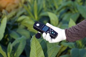 Licht Meter, Lux Licht Meter halt im Hand zu messen das Helligkeit von Tabak Pflanzen im das Feld. Sanft und selektiv Fokus. foto