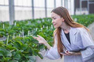 Wissenschaftler Arbeiten im organisch Landwirtschaft Bauernhof Forschung Neu chemisch Formel Extrakt von Pflanze zum medizinisch Konzept. foto