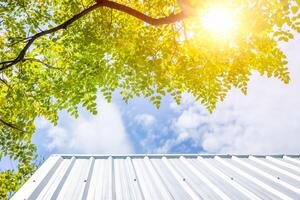 groß Grün Baum Schutz Über Haus Dach von uv Sonne zum Kühlung Ausruhen Zuhause gut Umgebung frisch Luft foto