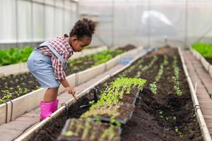 afrikanisch schwarz Kind spielen Pflanzen das Grün Baum Gartenarbeit im Landwirtschaft Bauernhof. Kinder Liebe Natur Konzept. foto