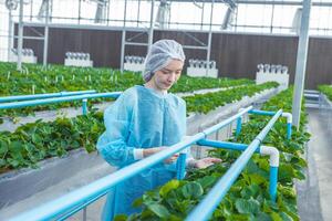 Wissenschaftler Arbeiten im organisch Landwirtschaft Bauernhof Forschung Neu chemisch Formel Extrakt von Pflanze zum medizinisch Konzept. foto