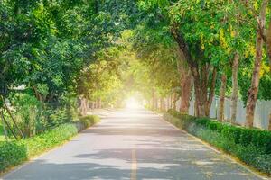 Grün Straße im modern Stadt Baum Pflanze um das Straße zum absorbieren Kohlenstoff Dioxid und gut Fahren frisch Ozon foto