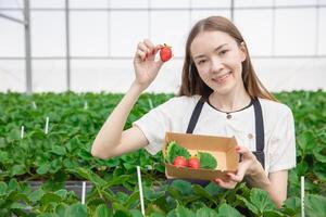 Mädchen Teen Farmer zeigen groß rot frisch Süss Erdbeere Obst von Innen- Grün Haus organisch Bauernhof foto