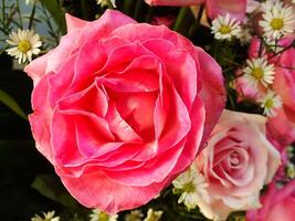 Hochzeit bunt Rose Strauß. frisch, üppig Strauß von bunt Blumen. Blumen, Strauß, Rosen, Gänseblümchen, Tulpen, Vase, Geschenk, Ästhetik foto