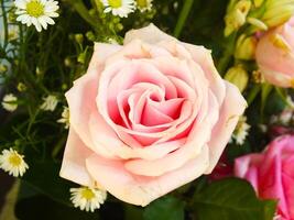 Hochzeit bunt Rose Strauß. frisch, üppig Strauß von bunt Blumen. Blumen, Strauß, Rosen, Gänseblümchen, Tulpen, Vase, Geschenk, Ästhetik foto